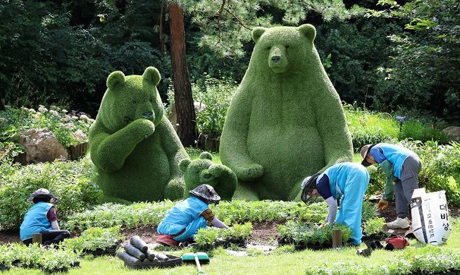 秋を迎えて植栽