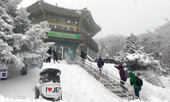 済州道は雪景色