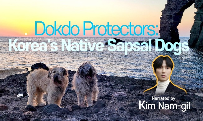 三一節を迎え、独島を守るサプサル犬の映像を公開