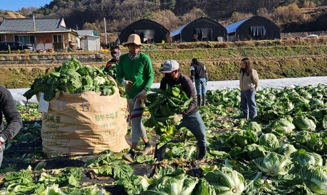非専門外国人人材、来年は約１９万１０００人規模で運用
