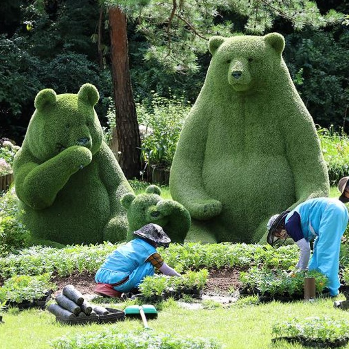 秋を迎えて植栽