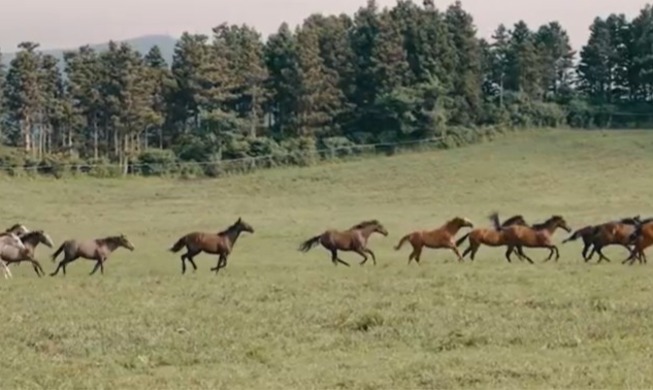 ２０２６年、丙午年の馬の話