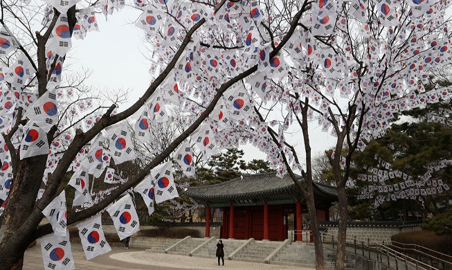 孝昌公園前の「太極旗通り」