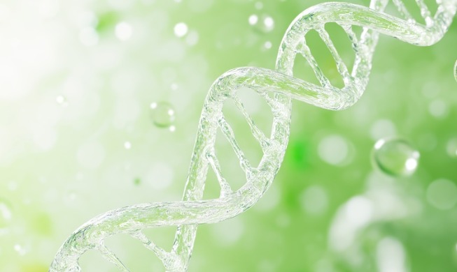 韓国の研究チーム、ＡＳＤの分子特性を２つに分類