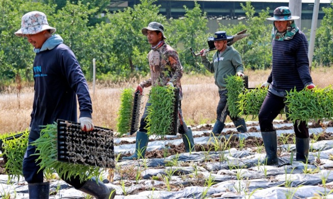 【２０２５決算】③外国人滞在者、ついに２８３万人突破
