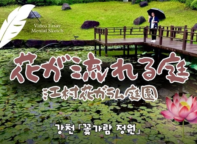 雨に包まれた癒しの庭｜江原道・春川の花ガラム庭園を歩く癒しの時間