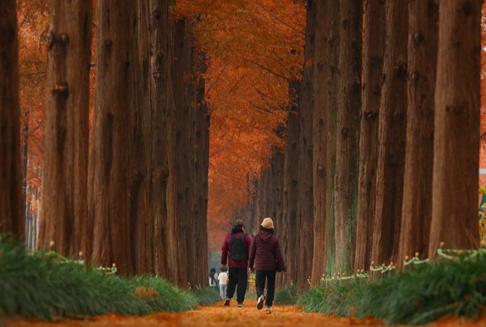 秋の終わりの風景