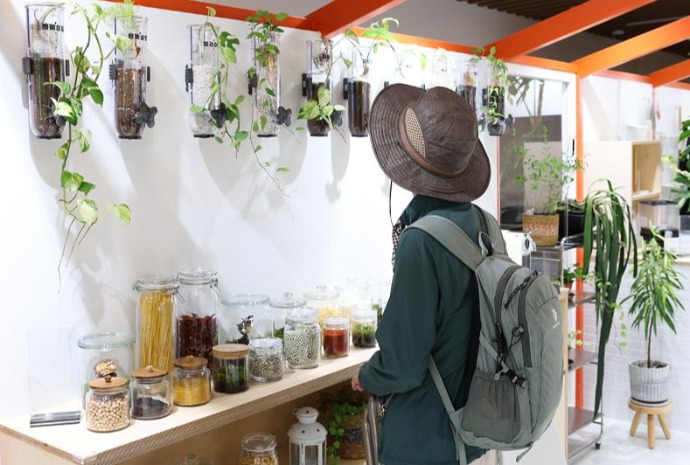 植物を取り入れた「プランテリア」