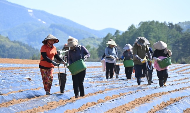 賃金未払いの外国人労働者、強制出国なし