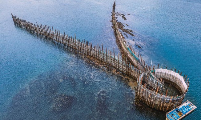 済州の海女漁業など、世界重要農業遺産に認定