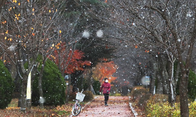 【写真で見る韓国】小雪 冬の始まり