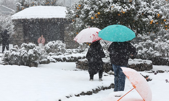 雪降る済州島