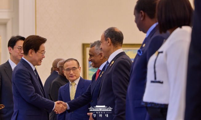 李大統領、アフリカの外相たちと会談
