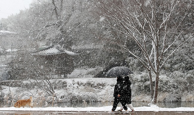 ぼたん雪の中で散歩