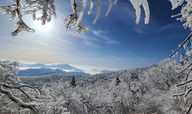 冬と春が共存する韓国