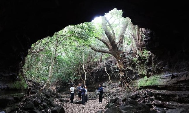 [世界遺産祝典①] 火山が生み出した済州の拒文オルム溶岩洞窟