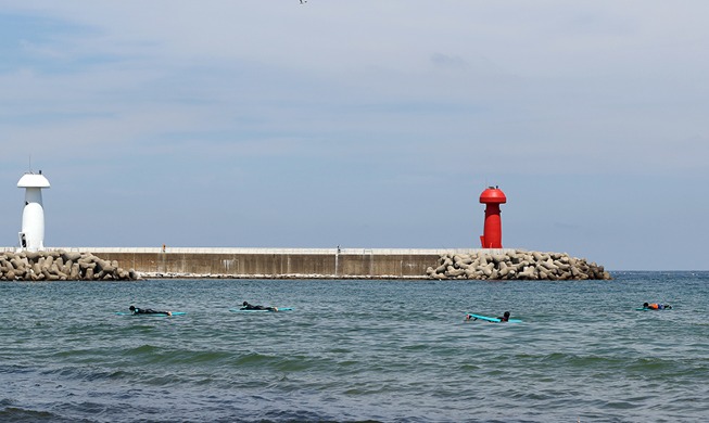 【写真で見る韓国】暑さを吹き飛ばすサーフィン