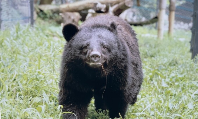 [動物と共に生きる②] 動物たちの安住の地を求めて 