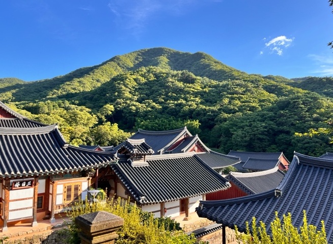 韓国三大寺院・松廣寺で仏教文化に触れるテンプルステイ体験