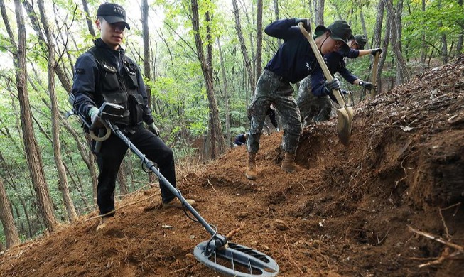 韓国戦争の戦死者の遺骨を発掘する将兵たち