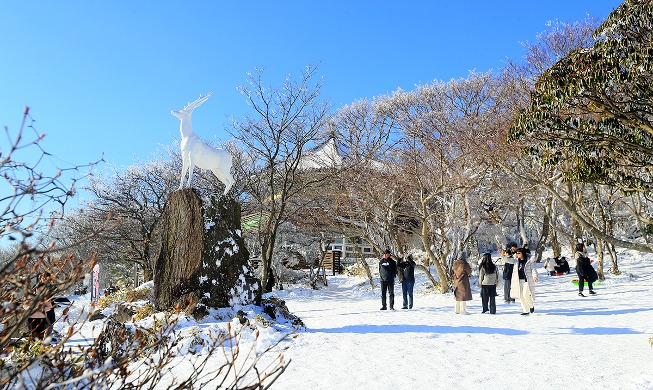 雪積もった漢拏山