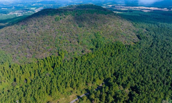 [韓国公共行政の優秀性] ④ 廃墟の中で成し遂げた韓国の山林緑化