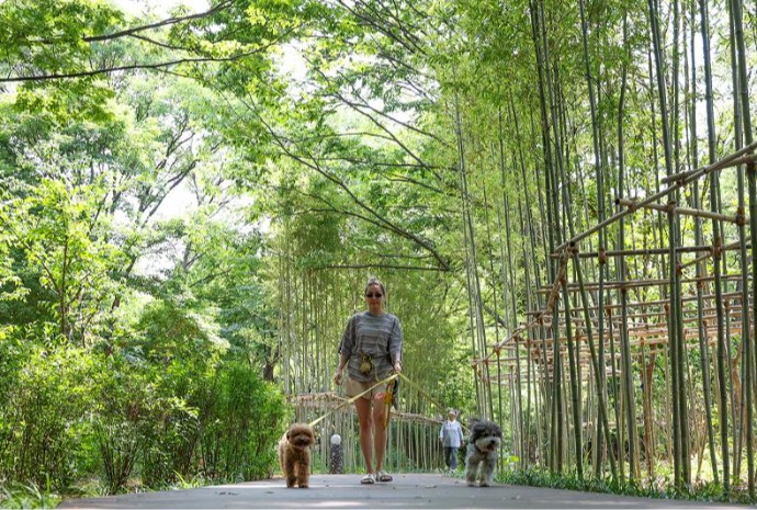 南山で楽しむ散策