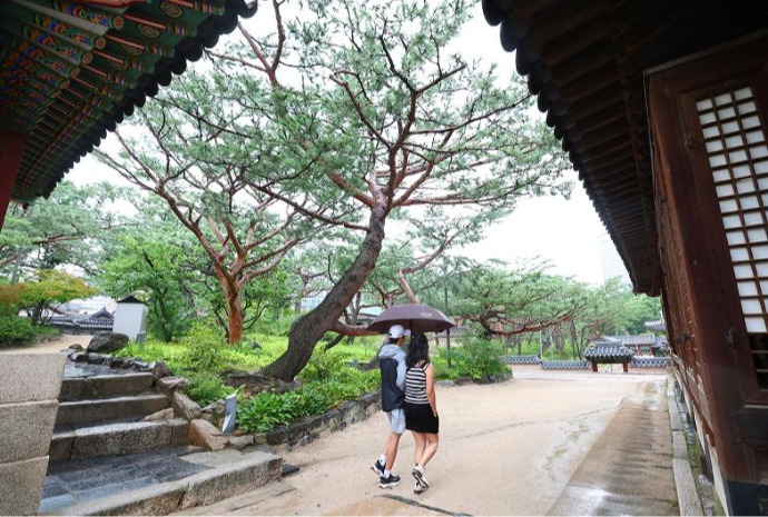 まだまだ続く梅雨