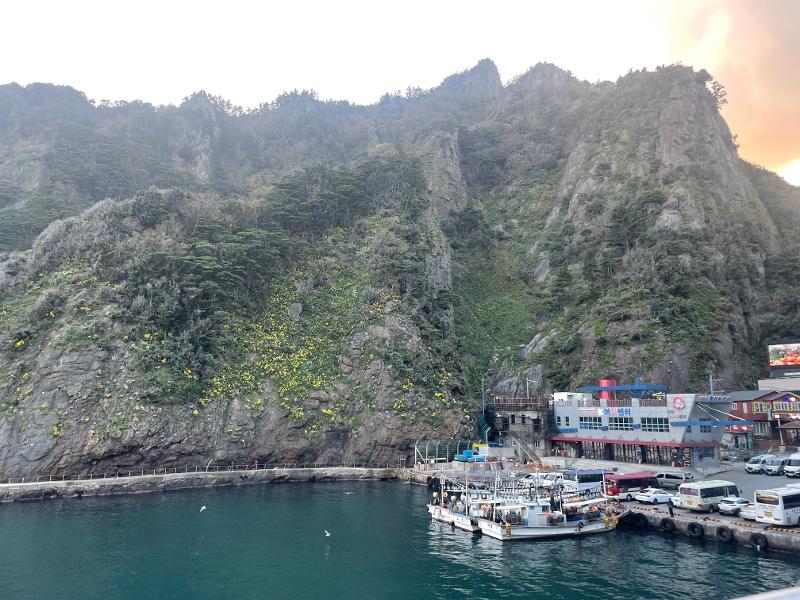 ２日の午後４時、鬱陵島に入る関門である道洞港の様子。周りに食堂や記念品店、公共機関などがある＝キム・ソナ撮影