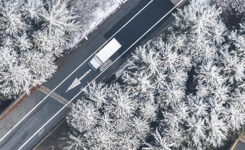 ３日、慶尚北（キョンサンブク）道・漆谷（チルゴク）郡のある道路に沿って植えられた街路樹の上に、雪が積もった様子