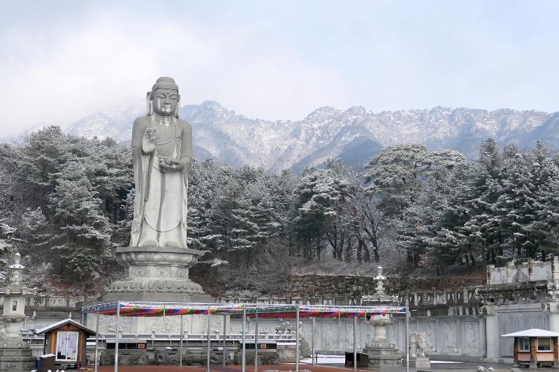 桐華寺の統一薬師如来大仏の後ろに見える八公山