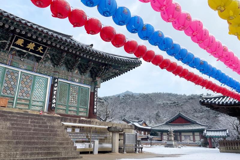 １５００年という歴史と伝統を誇る桐華寺は、韓国仏教の代表的な叢林。叢林とは、多くの僧侶が集まり修行する大伽藍のことだ。大伽藍は禪院、講院、律院、念佛院を全て備えている。