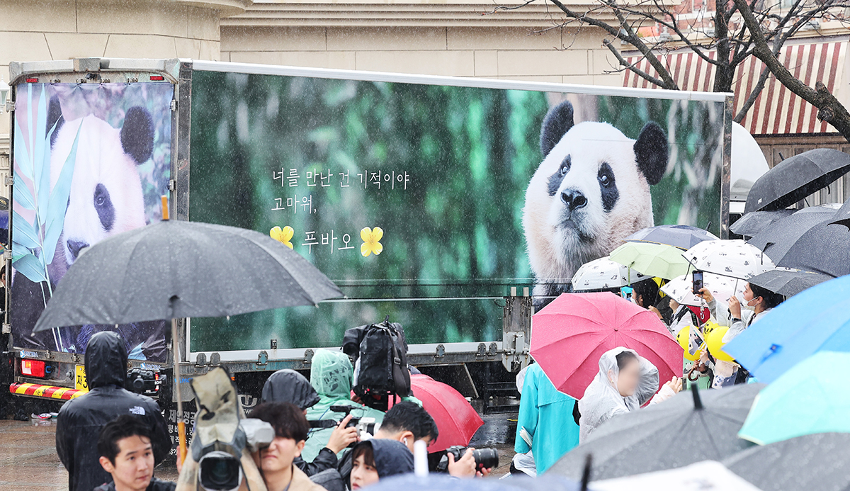 ３日、京畿道のエバーランドで、中国に出発するパンダ「福宝（プーバオ）」を見送る市民たち。