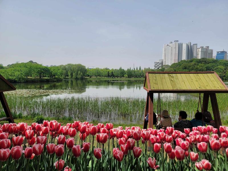 ２０２４高陽国際花博覧会が、一山湖水公園で華やかな幕を上げた。写真は湖の前で春の趣を楽しむ観覧客の様子＝先月２６日、京畿道・高陽市