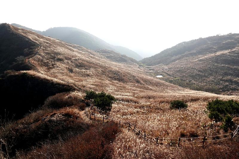 昌年郡にある火旺山の全景