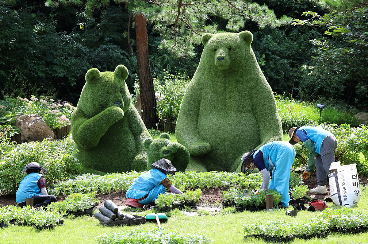 ３日、江原道・江陵市内にある樹木園で花を植えている関係者たち。 