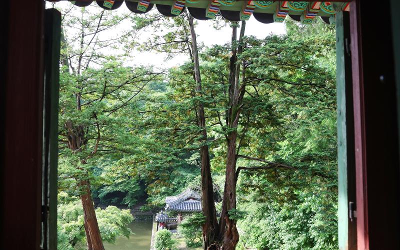 韓屋の窓越しに見える風景。空間と自然の相互作用を楽しむ。
