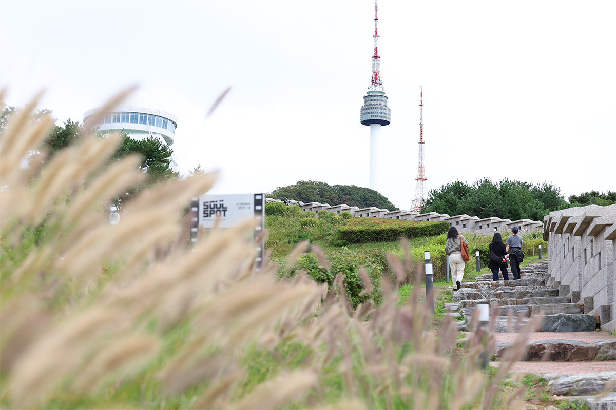 １４日、ソウル・南山（ナムサン）公園を訪れ、秋の趣を楽しむ市民たち。'