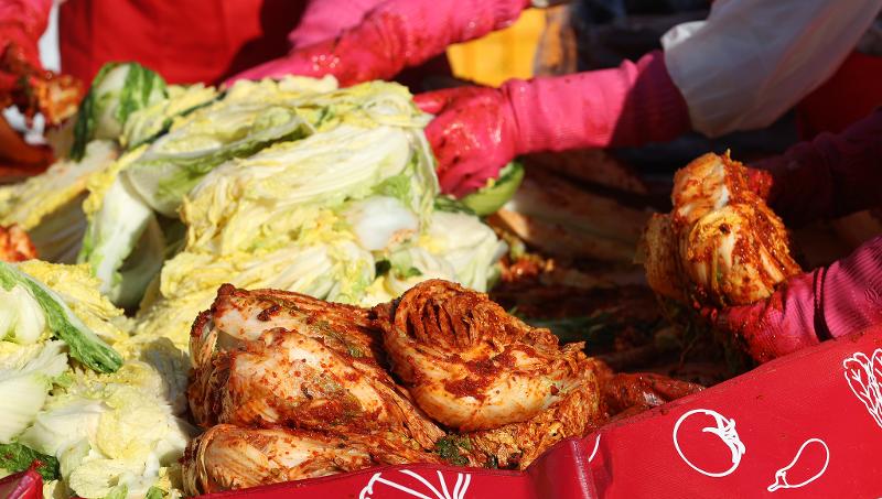 キムチの主要材料である白菜が、国際公式名称として新たに「kimchi cabbage」と登録された＝コリアネットDB