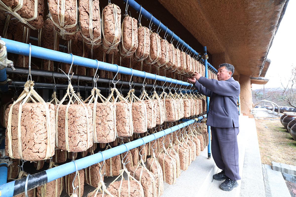 １７日、江原（カンウォン）道・江陵（カンヌン）市の大関嶺（テグァンリョン）で、伝統的な方法で作られた味噌玉。風と日差しにさらされながらじっくりと熟成している。味噌玉は、茹でた豆を蒸してひとつにまとめ、乾燥させたもので、カンジャン（韓国の醤油）やテンジャン（韓国の味噌）、コチュジャンなどのもととなる。