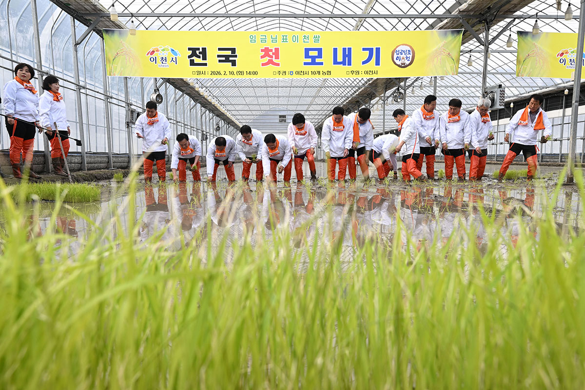 １０日、京畿（キョンギ）道・利川（イチョン）市のビニールハウス水田で、今年初の田植えが行われている様子。