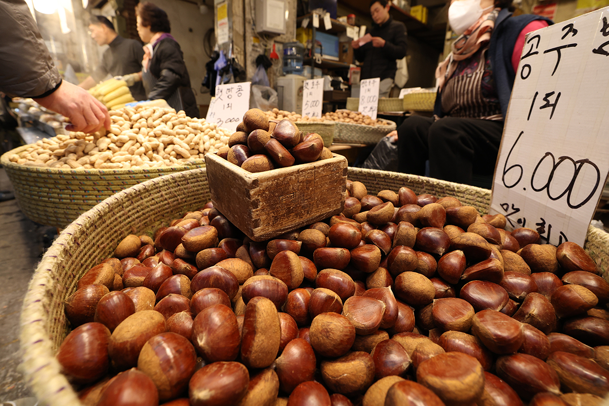 正月（旧暦１月１５日）の満月「小正月（テボルム）」を迎えた３日、ソウル・京東（キョンドン）市場では、店頭に「プルム」が並んでいる。「プルム」とは、栗やクルミ、松の実といった殻付きナッツ類のことだ。この日は一年の健康と安寧を願い、硬いナッツをかむ「プルム割り」の風習が今も受け継がれている。