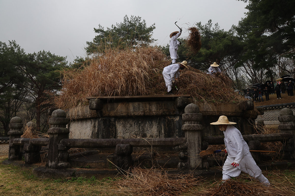 冬至から１０５日目にあたる「寒食」の６日、ソウル近郊・九里（クリ）にある健元陵（コンウォンヌン）にて、恒例のススキ刈りが行われた。健元陵は朝鮮王朝を建国した太祖・李成桂（イ・ソンゲ）が眠る王陵である。健元陵を覆うススキは、太祖の遺言により、故郷である咸興（ハムフン）から移植されたものと伝えられている。