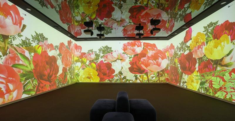 青瓦台サランチェで展示されている牡丹のメディアアート=ソウル