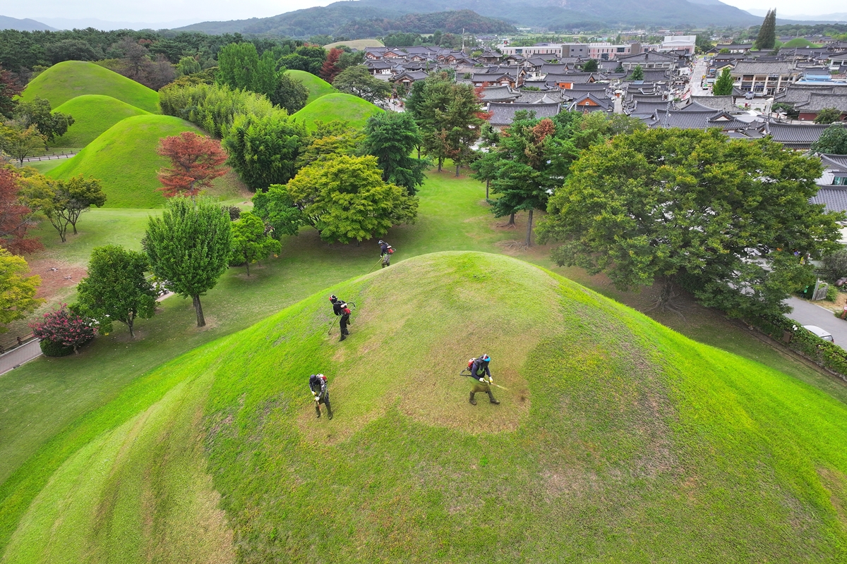 秋夕（チュソク、旧盆）を前にした１８日、慶州（キョンジュ）市の大陵苑（テルンウォン）地区にある王陵などの主要な古墳で、草刈りをする作業員の様子。