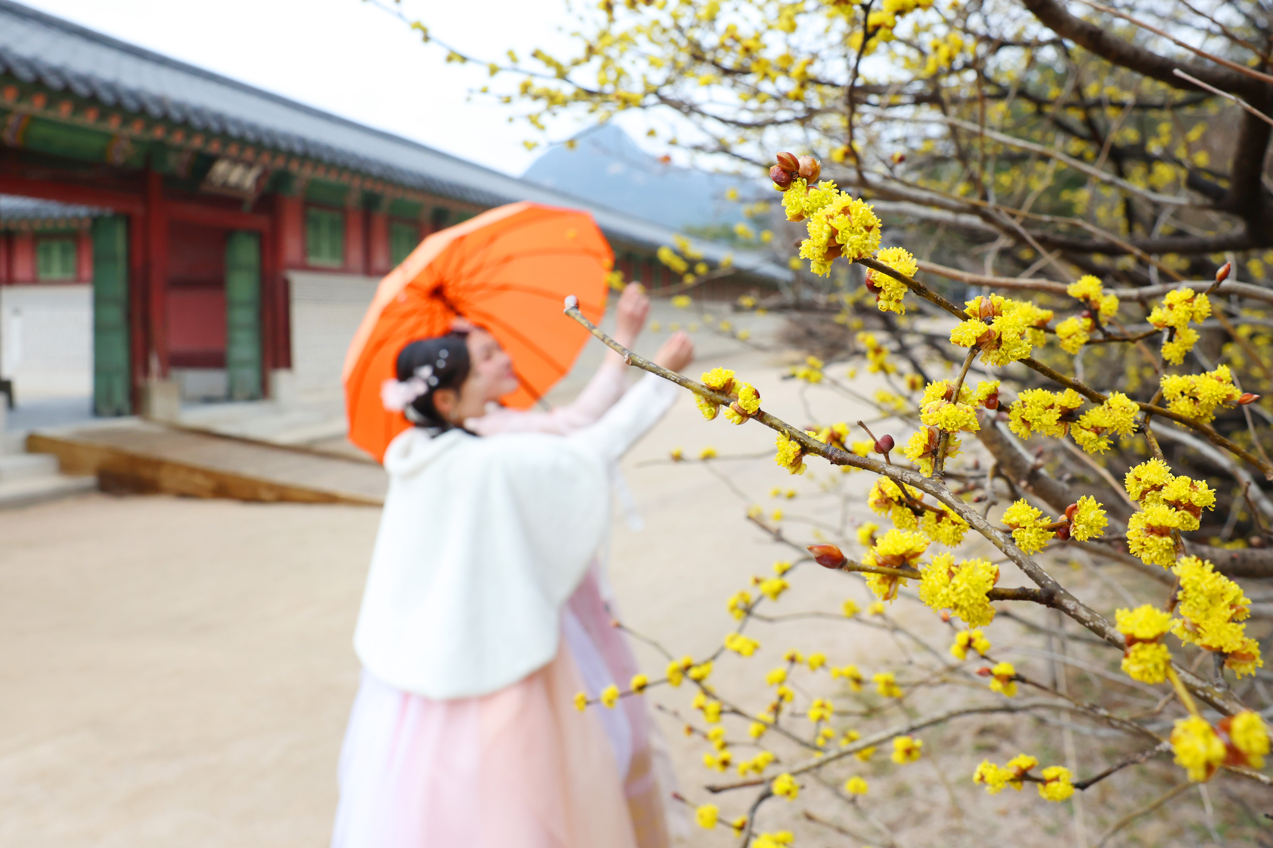 Gyeongbokgung Palace