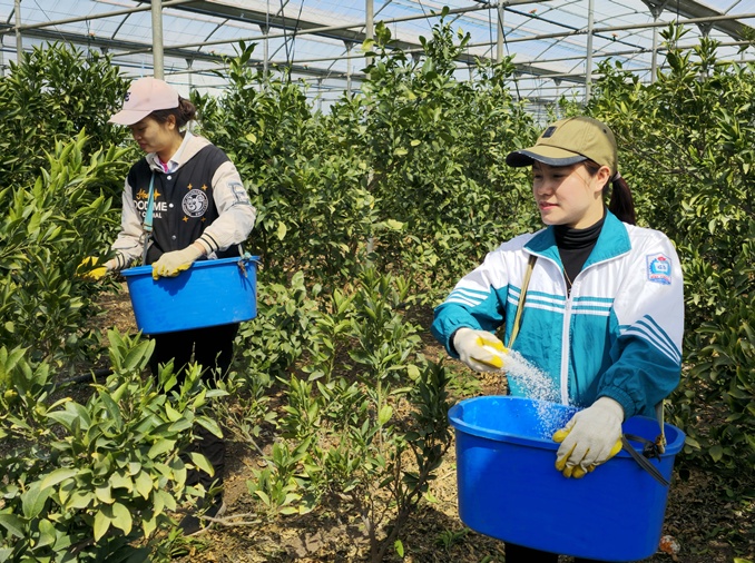 今年下半期、外国人季節労働者を拡大