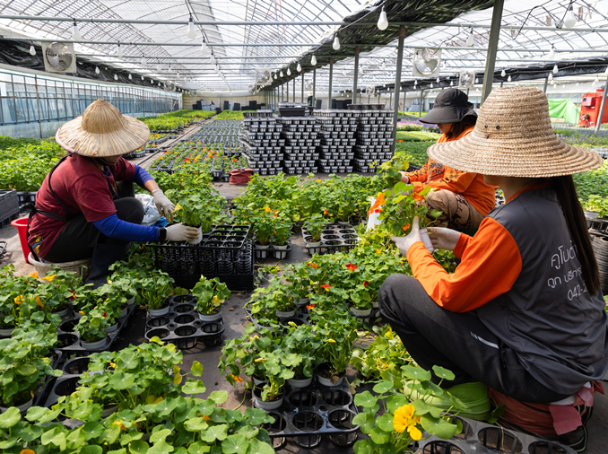 移民労働者の労働権益向上へ連携強化