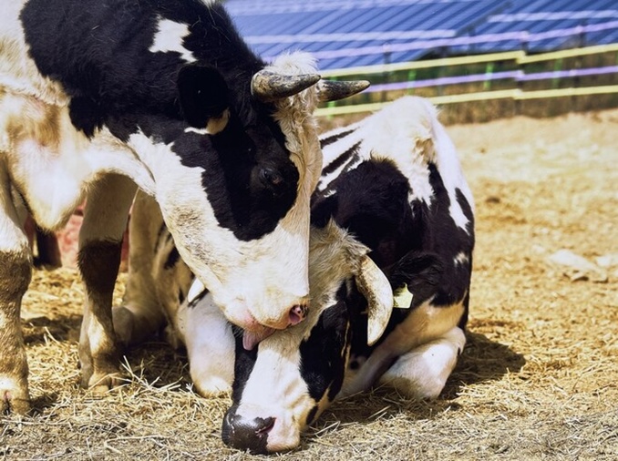[動物と共に生きる②] 動物たちの安住の地を求めて 