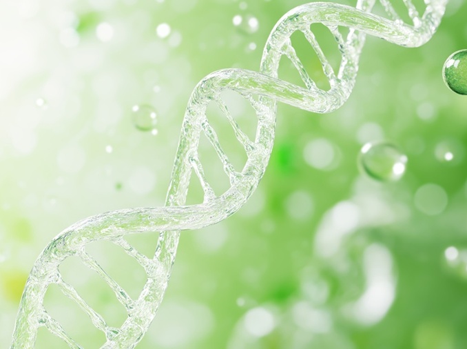 韓国の研究チーム、ＡＳＤの分子特性を２つに分類